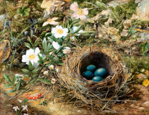John William Hill - Bird's Nest and Dog Roses, 1867