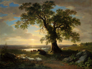 Asher B. Durand - The Solitary Oak (The Old Oak), 1844