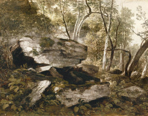 Asher B. Durand - Study from Nature: Rocks and Trees in the Catskills, New York, 1856