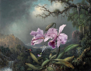 Martin Johnson Heade - Study of an Orchid, 1872