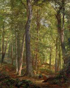 William Trost Richards - June Woods (Germantown), 1864