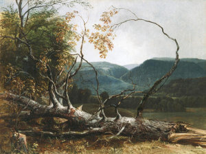 Asher B. Durand - Study from Nature, Stratton Notch, Vermont, 1853