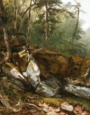 Asher B. Durand - Study from Nature: Rocks and Trees, ca. 1856