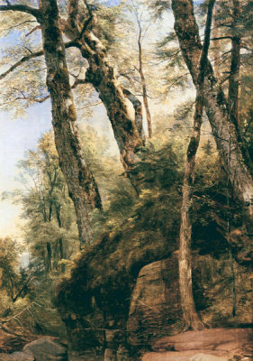 Asher B. Durand - Black Birches, Catskill Mountains, 1860
