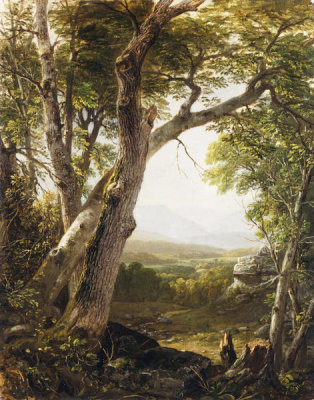 Asher B. Durand - Shandaken Range, Kingston, New York, 1854