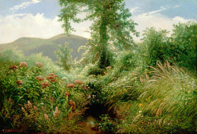 Thomas Hiram Hotchkiss - Catskill Mountains, Shandaken, New York, 1856